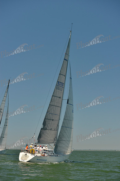 2017 Southern Bay Race Week B_1281