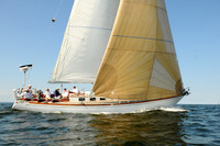 2011 Vineyard Race A 2117