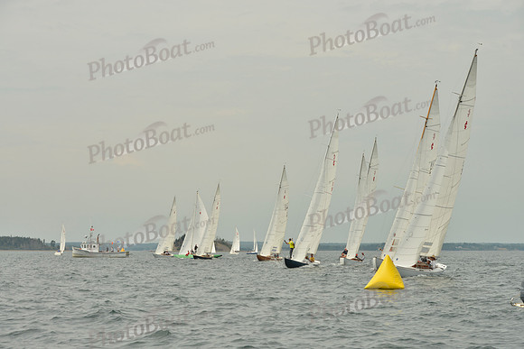 2016 Chester Race Week E_0123