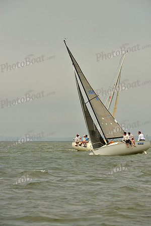 2016 Southern Bay Race Week A_0704