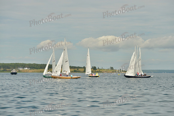 2016 Chester Race Week G_0069