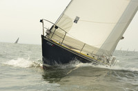 2015 Vineyard Race A 1199