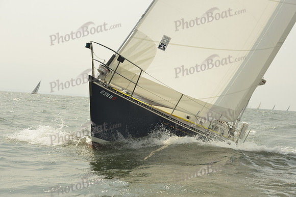 2015 Vineyard Race A 1199
