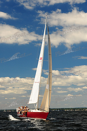 2014 Vineyard Race A 521