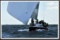 proof_2010_Vineyard_Race_0755
