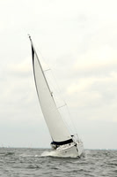 2012 Cape Charles Cup A 1077