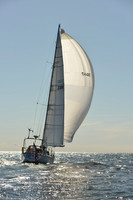 2015 Vineyard Race C 575