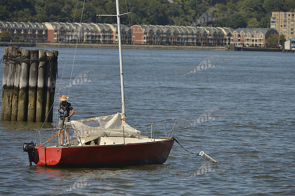 2016 NY Architects Regatta_0008
