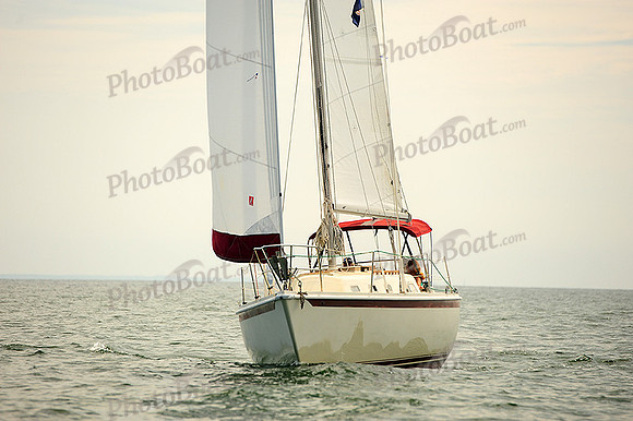 2014 Cape Charles Cup B 249