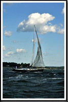 proof_2010_Vineyard_Race_0092