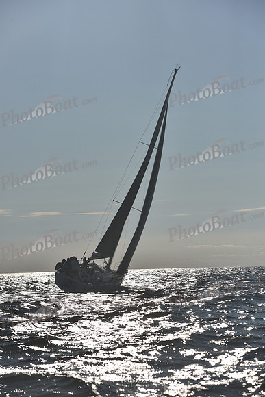 2021 Vineyard Race B 2774