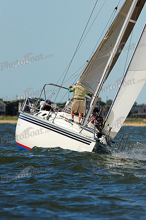 2014 Southern Bay Race Week E 397