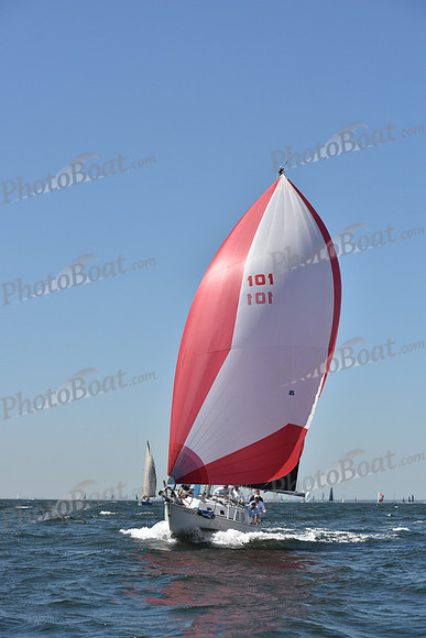 2019 Vineyard Race A_0432