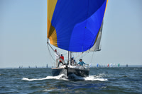 2019 Vineyard Race A_0981