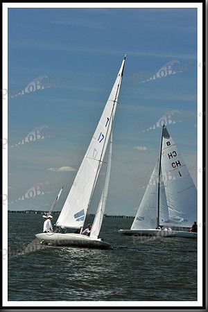 proof_2010_EScows_D 830