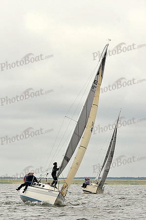 2014 Southern Bay Race Week A 1017