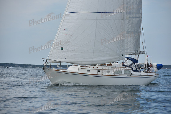 2019 Around Marthas Vineyard A_0033