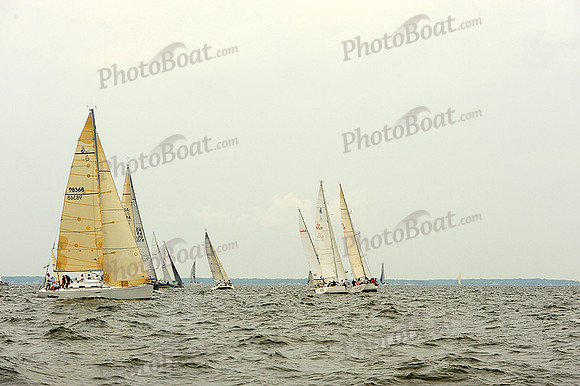 2014 Gov Cup A 1443