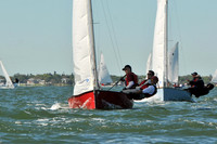 2012 Thistle Midwinters A 389