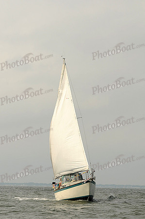 2012 Cape Charles Cup A 449