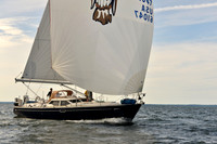 2017 Vineyard Race A_2302