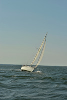 2016 NYYC Race Week A 1817