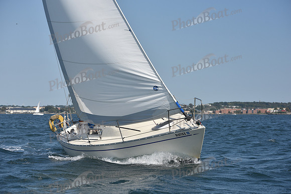 2020 CYC Around the Island Race_1934