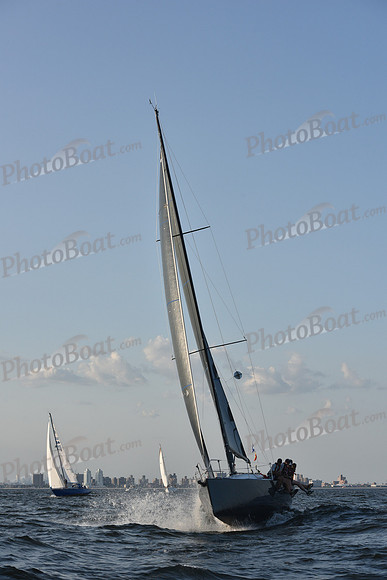 2019 ALIR_2299