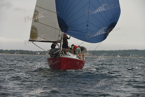 2016 Chester Race Week C_1652
