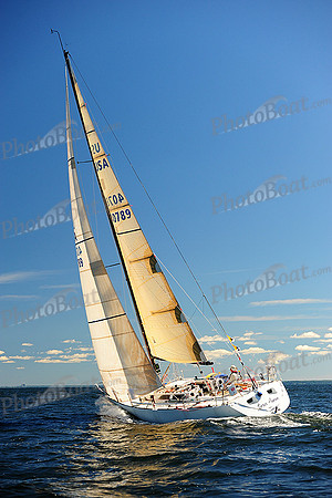 2014 Vineyard Race A 804