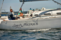 2017 Vineyard Race A_0949