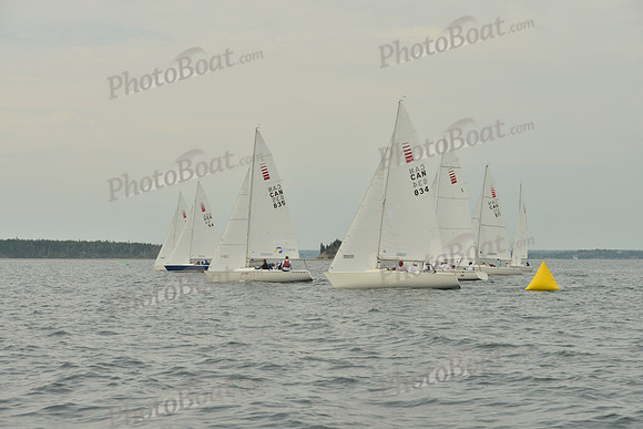 2016 Chester Race Week E_0163