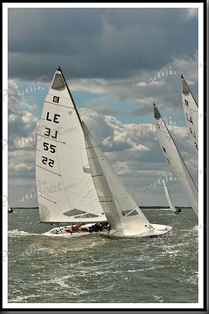 proof_2010_EScows_B 303