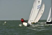 2012 Thistle Midwinters B 634