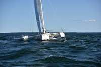2021 Vineyard Race B 2195