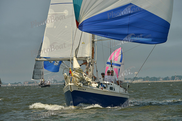 2016 Southern Bay Race Week B_0637
