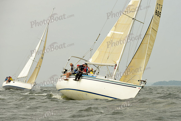 2015 Vineyard Race A 199
