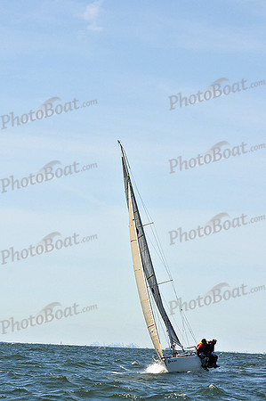 2014 Southern Bay Race Week C 800