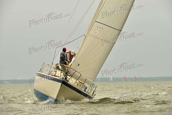 2016 Southern Bay Race Week A_1101