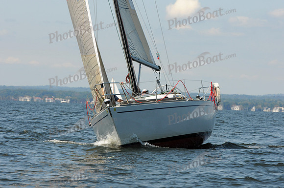 2011 Vineyard Race A 501