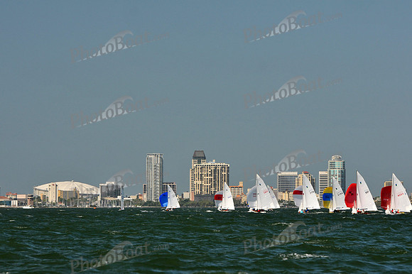 2012 Thistle Midwinters B 659