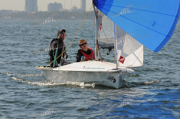 2011 HPDO A 1117