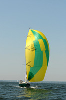 2012 Vineyard Race A 419