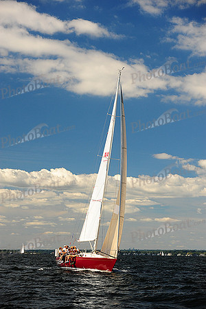 2014 Vineyard Race A 519