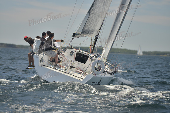 2016 Chester Race Week B_0073