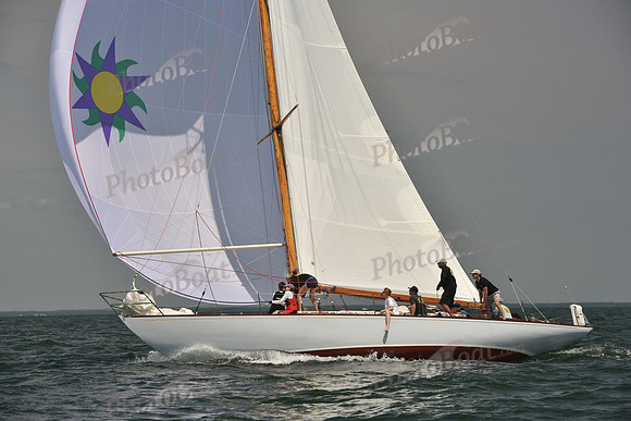 2018 Vineyard Cup A_1231