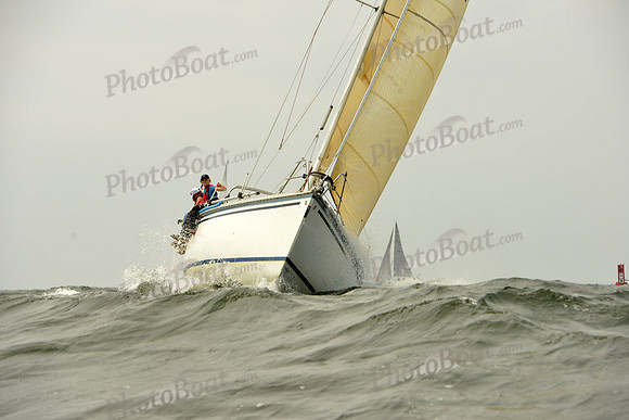 2015 Vineyard Race A 210