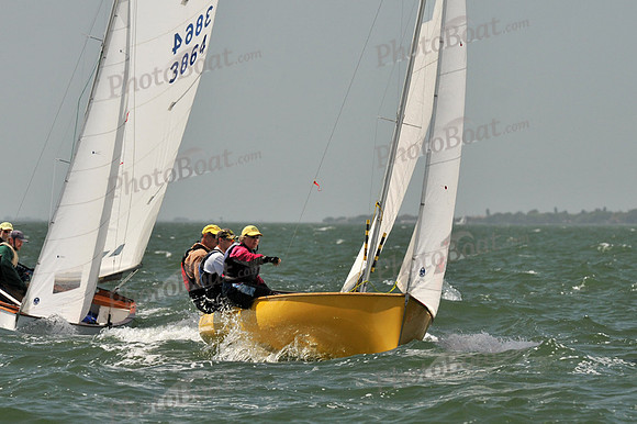 2012 Thistle Midwinters B 1181