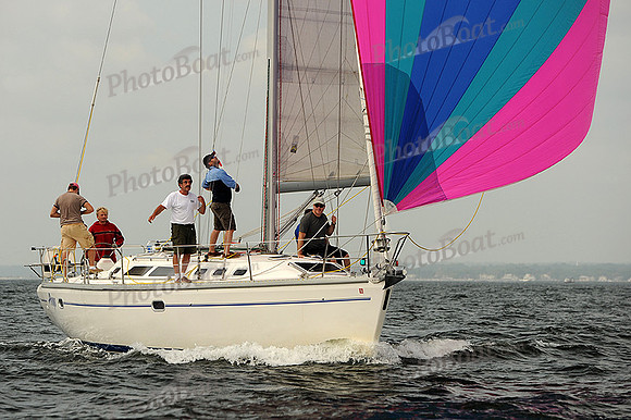 2013 Vineyard Race A 343