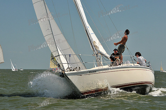 2013 Southern Bay Race Week D 890
